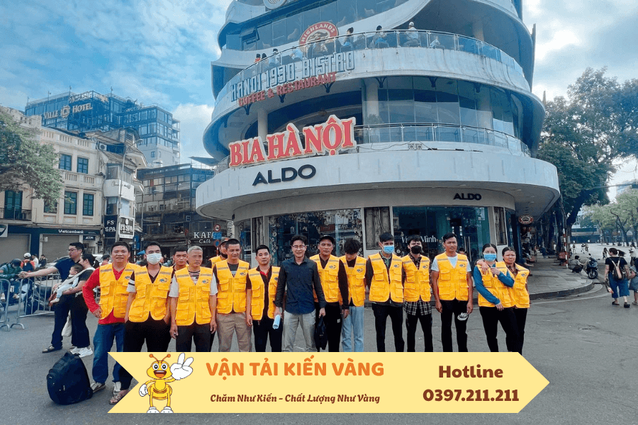 Kiến Vàng Hà Nội Chuyển văn phòng