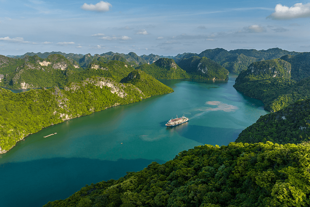Cruises Bai Tu Long Bay