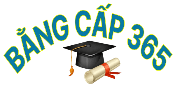 Uy tín 365 Bằng cấp