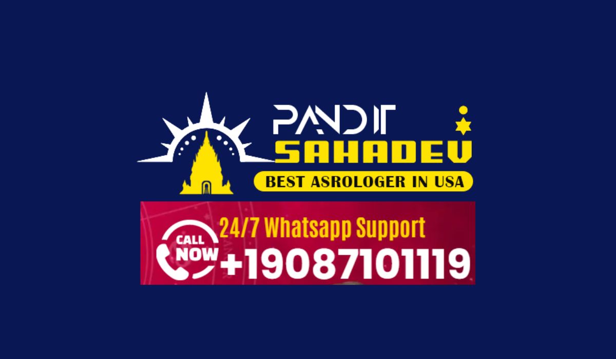 Negative Energy Removal Expert Astrologer Pandit Sahadev