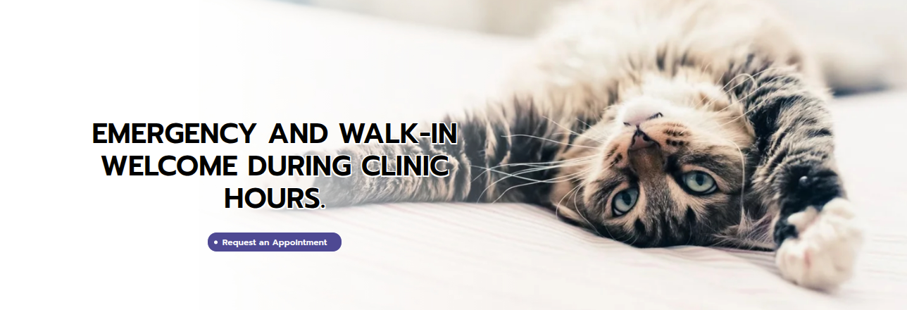 Hospital Silverado Veterinary