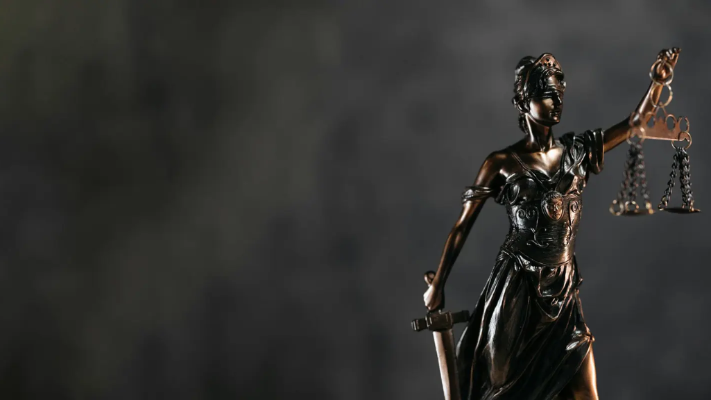 Expert Witness Gateway