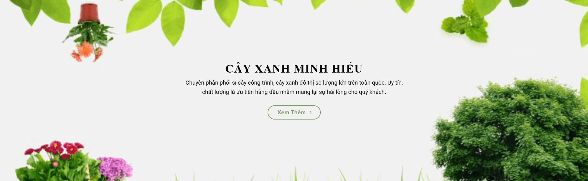 Minh Hiếu Cây Xanh