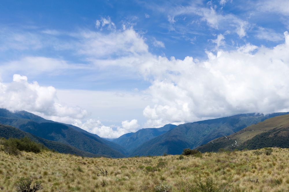 Amazon Peru Machu Picchu 