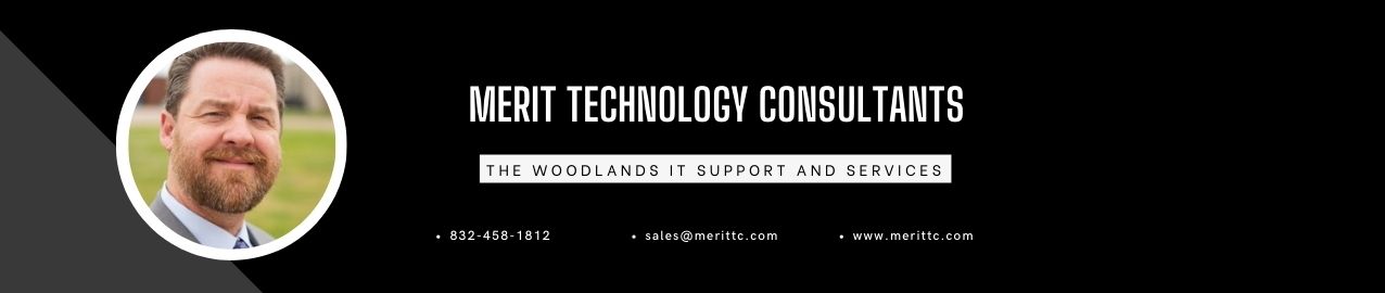 Consultants Merit Technology Consultants