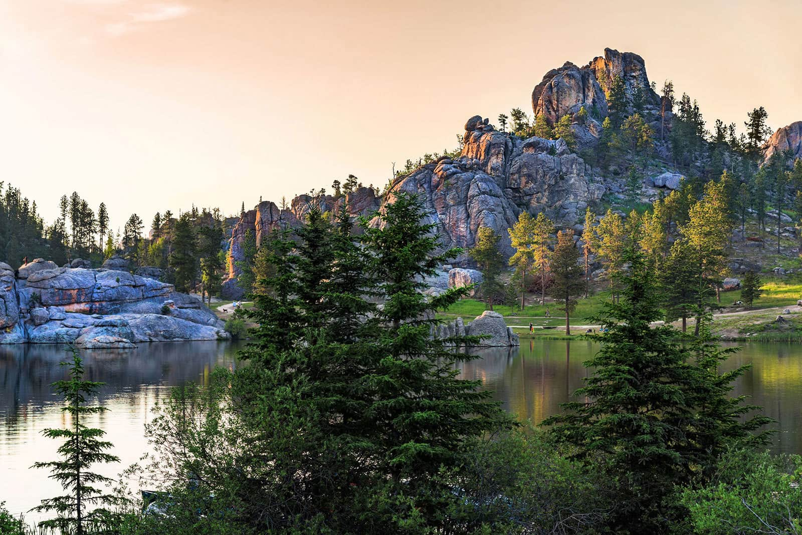   Into The Woods Black Hills 