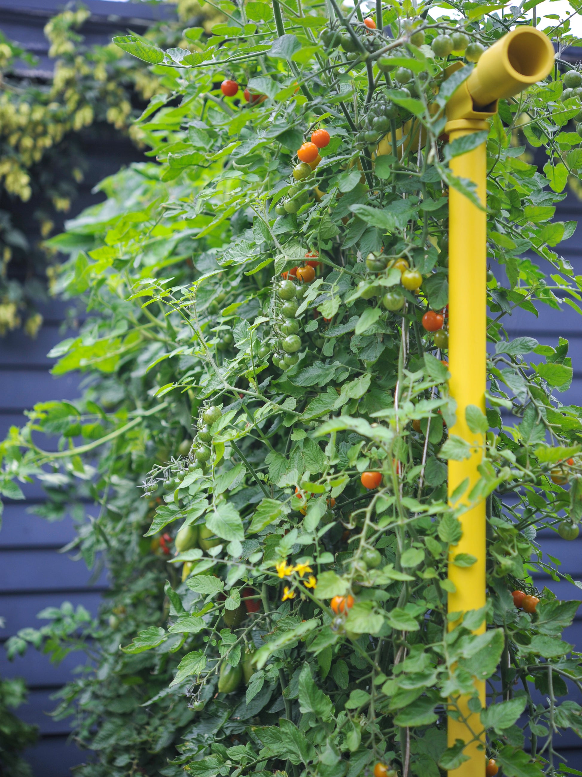 Seattle Urban Farm Company