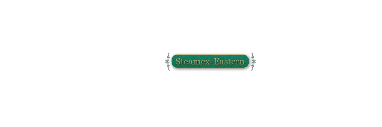 . Steamex Eastern of Toledo