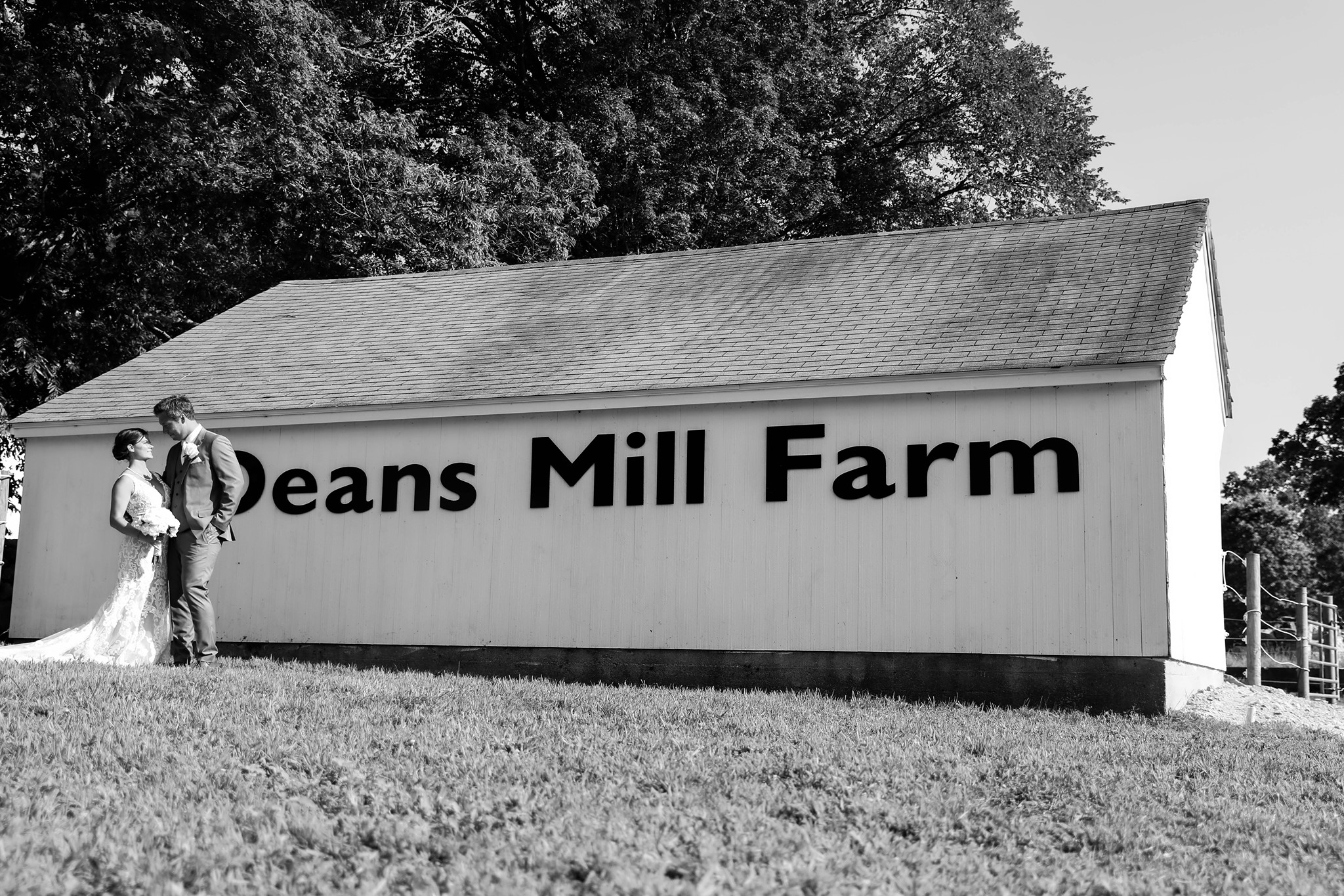 Farm Deans Mill