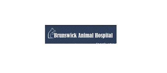 Animal Hospital Brunswick 