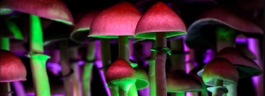 Canada Magic Mushrooms