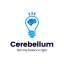 Academy Cerebellum