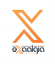 Exaalgia IT Solution