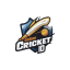 Onlinecricket Id