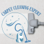 . Carpet Cleaning Service