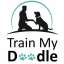 Train My Doodle