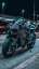 ingoa bikerental