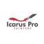 Pro Painters Icarus