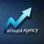 Digital Agency  SEO 