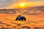 safari dubai