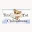 Tiny Tot  Chihuahuas