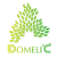 Ae Domelic