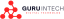 InTech Guru