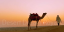 . Desert dream Royal Camp