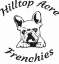 Acre Frenchies Hilltop
