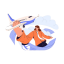fly air