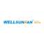 Wellsunfan com