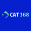 Cat368 cfd