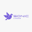 Linker Sonic
