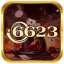 vnshop 6623