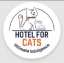 Cats Hotel for 