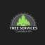 Columbus OH Tree Services 