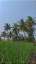 khot sanket