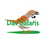 Safaris Dav