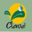 Care Clave Body