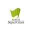Artificial Super Grass