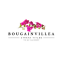 Retirement Bougainvillea