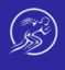  Knee  Delhi Shoulder and
