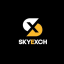 play skyin