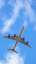 flights cheap