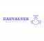 Valves UAE