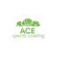  Coating Ace Sports
