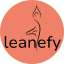 LLC Leanefy