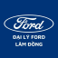 lamdong dailyford