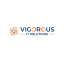 Solutions Vigorous IT