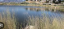 Landscaping Bytendorp Enterprises 